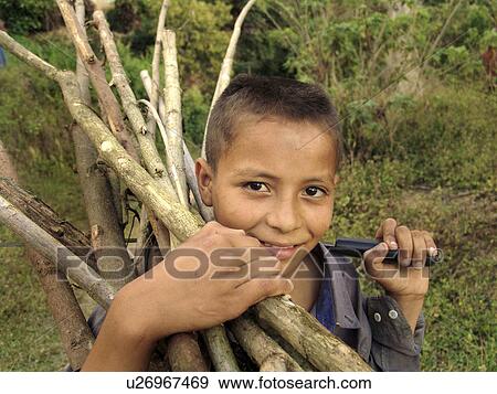 Stock Photo - firewood, person, collecting, boy, honduras, people. Fotosearch