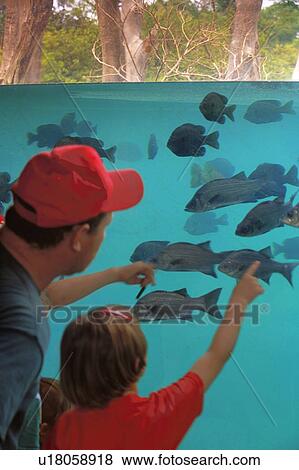 Stock Photo - fish, children, father, daughter, kids, athens. Fotosearch