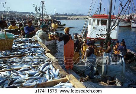Stock Photography - fishermen, people, morocco, 4260, person, business. Fotosearch