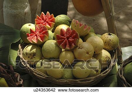 fruits, nature, vegetables, tropical, brazil, pattern View Large Photo Image Stock Image - fruits, nature, vegetables, tropical, brazil, pattern. Fotosearch