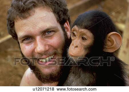 Stock Photo - gabon, corps, chimpanzee, pet, volunteer, peace. Fotosearch