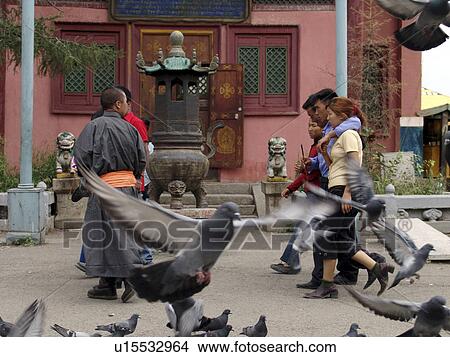 gandan, person, visitors, pigeons, mongolia, people View Large Photo Image Picture - gandan, person, visitors, pigeons, mongolia, people. Fotosearch