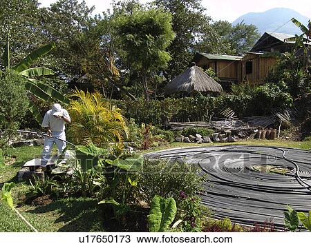 garden, people, guatemala, sun, person, water View Large Photo Image Stock Image - garden, people, guatemala, sun, person, water. Fotosearch
