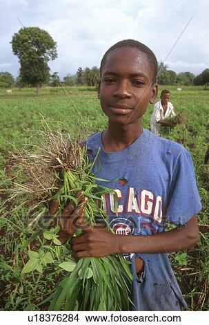 gathering, person, boy, haiti, 4258, people View Large Photo Image Picture - gathering, person, boy, haiti, 4258, people. Fotosearch