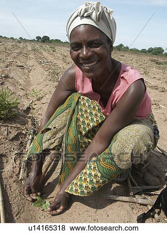 Stock Photo - green, people, farmer, zambia, person, woman. Fotosearch