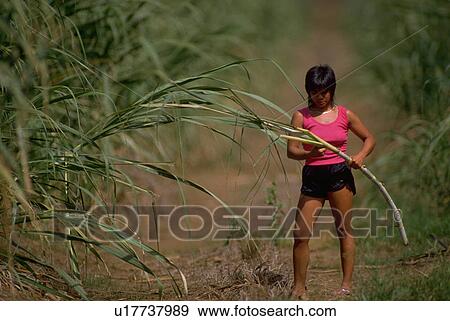 Stock Photo - hawaii, people, female, hawaiian, nature, woman. Fotosearch