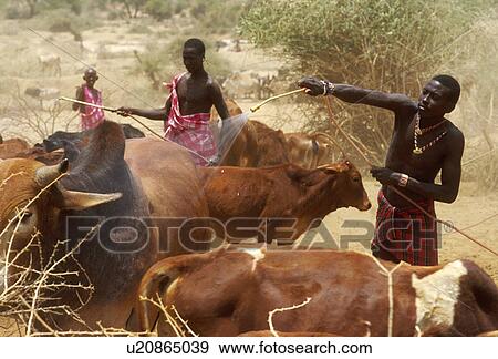 Stock Photo - herdsmen, person, masai, kenya, 4233, people. Fotosearch