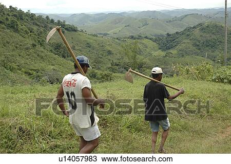 Stock Image - hoes, person, carrying, farmers, brazil, people. Fotosearch