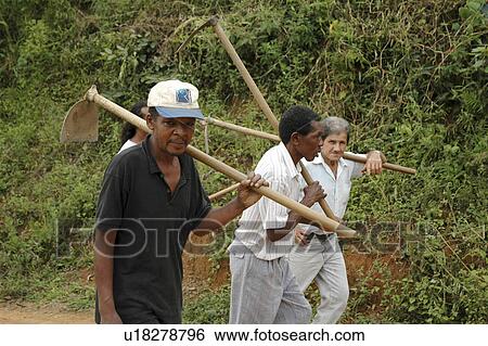 hoes, person, carrying, farmers, brazil, people View Large Photo Image Stock Photograph - hoes, person, carrying, farmers, brazil, people. Fotosearch