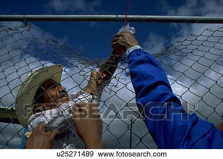 home, business, border, fitness, people, family View Large Photo Image Stock Photo - home, business, border, fitness, people, family. Fotosearch