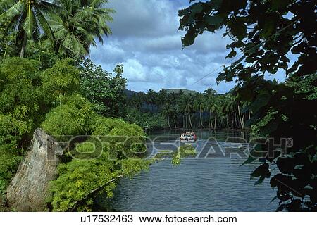 house, vegetation, sorrounding, little, water View Large Photo Image Stock Image - house, vegetation, sorrounding, little, water. Fotosearch