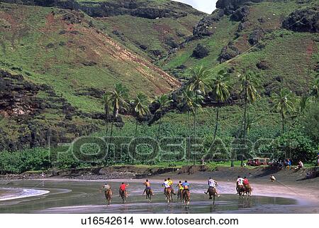 huka, water, ua, race, horse, beach View Large Photo Image Picture - huka, water, ua, race, horse, beach. Fotosearch