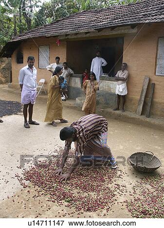 india, people, home, person, coffee, family View Large Photo Image Stock Photo - india, people, home, person, coffee, family. Fotosearch