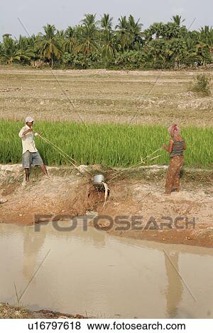 irrigating, people, cambodia, person, hand, water View Large Photo Image Stock Photo - irrigating, people, cambodia, person, hand, water. Fotosearch