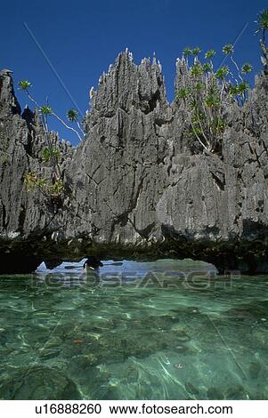 jagged, kayak, cove, rockface, water View Large Photo Image Stock Image - jagged, kayak, cove, rockface, water. Fotosearch