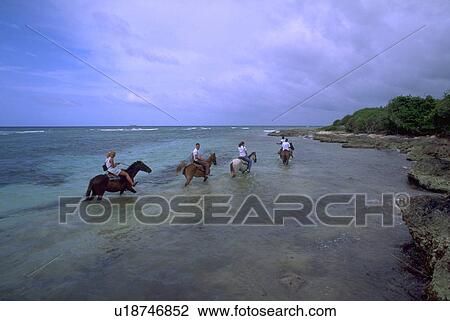 jamaica, people, through, horses, riding, water View Large Photo Image Stock Image - jamaica, people, through, horses, riding, water. Fotosearch