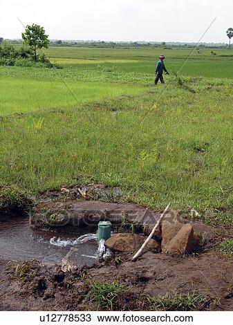 kampong, person, system, irrigation, cambodia, people View Large Photo Image Stock Image - kampong, person, system, irrigation, cambodia, people. Fotosearch
