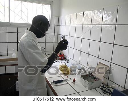 lab, hand, senegal, 7846, person, people View Large Photo Image Stock Image - lab, hand, senegal, 7846, person, people. Fotosearch