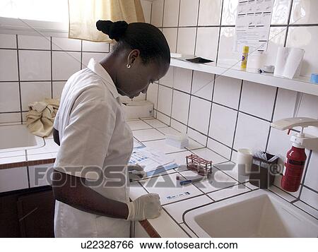 lab, hand, senegal, 7847, person, people View Large Photo Image Stock Photograph - lab, hand, senegal, 7847, person, people. Fotosearch