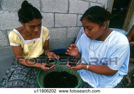 Stock Image - labor, person, guatemala, 5062, women, people. Fotosearch