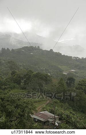 Picture - latin, person, lara, landscape, venezuela, people. Fotosearch