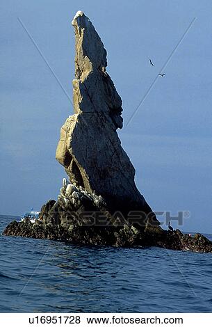 lucas, california, san, cabo, peninsula, baja View Large Photo Image Stock Photo - lucas, california, san, cabo, peninsula, baja. Fotosearch