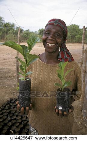 Stock Photo - mary, people, farmer, zambia, person, woman. Fotosearch