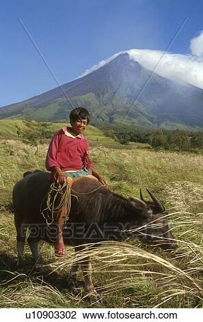 Stock Image - mayan, philippines, mount, oxen, boy, 3823. Fotosearch