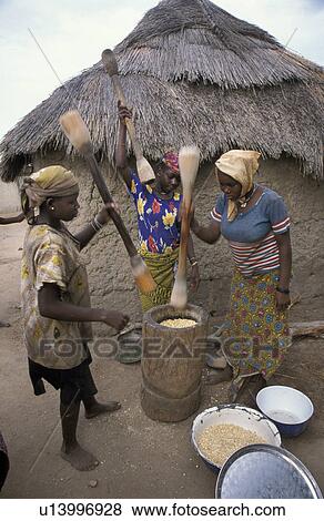 meal, person, pounding, benin, women, people View Large Photo Image Stock Photo - meal, person, pounding, benin, women, people. Fotosearch
