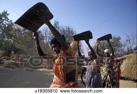 millet, person, finger, winnowing, india, people View Large Photo Image Stock Image - millet, person, finger, winnowing, india, people. Fotosearch