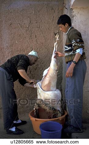 Stock Photography - morocco, people, 4323, birthday, person, party. Fotosearch