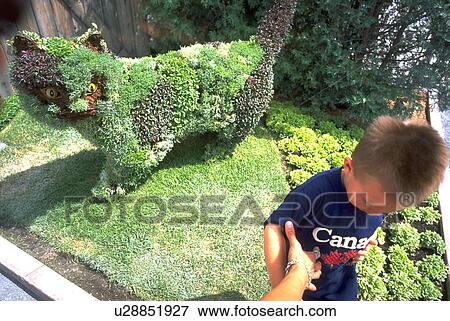 Stock Photo - mother, hand, kid, cat, child, love. Fotosearch