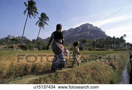 nagercoil, person, mayladi, faremrs, india, people View Large Photo Image Picture - nagercoil, person, mayladi, faremrs, india, people. Fotosearch