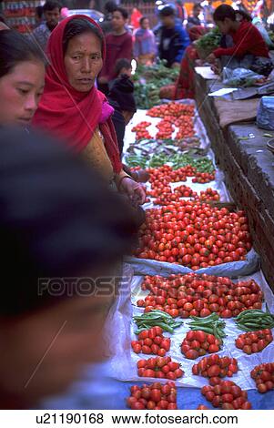 nepal, tomatoes, kathmandu, street, vendors, nepalese View Large Photo Image Stock Photo - nepal, tomatoes, kathmandu, street, vendors, nepalese. Fotosearch