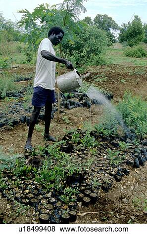 Stock Photo - nursery, person, plant, farming, 3015, people. Fotosearch