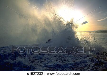 ocean, pacific, crashing, waves, grove, nature View Large Photo Image Stock Image - ocean, pacific, crashing, waves, grove, nature. Fotosearch