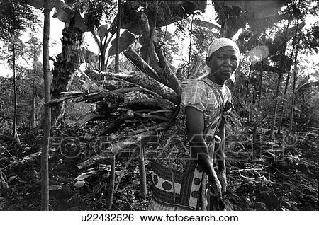people, black, women, person, woman View Large Photo Image Stock Photograph - people, black, women, person, woman. Fotosearch