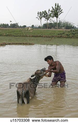 people, kid, children, child, water View Large Photo Image Stock Photo - people, kid, children, child, water. Fotosearch