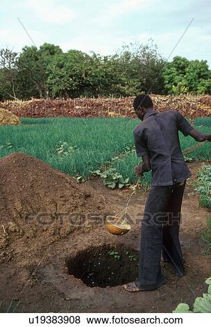 people, mali, 3094, person, water View Large Photo Image Stock Photo - people, mali, 3094, person, water. Fotosearch