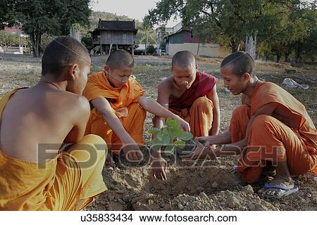 people, than, cambodia, person, tree View Large Photo Image Picture - people, than, cambodia, person, tree. Fotosearch