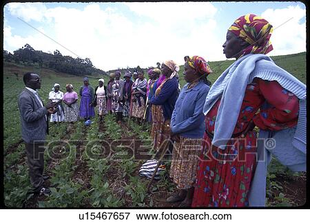 person, addressing, agronomist, 3009, people View Large Photo Image Stock Photo - person, addressing, agronomist, 3009, people. Fotosearch