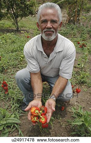 person, grey, gray, male, people View Large Photo Image Stock Photo - person, grey, gray, male, people. Fotosearch