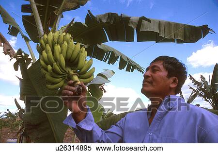 person, hispanic, mexico, 8125, people View Large Photo Image Stock Photography - person, hispanic, mexico, 8125, people. Fotosearch