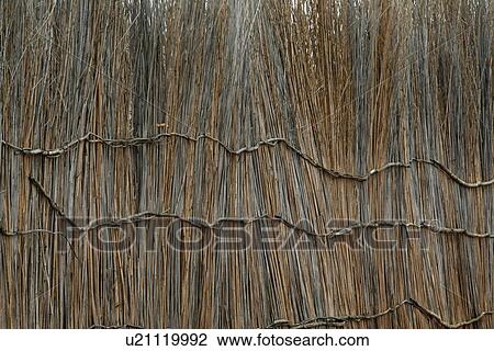 Stock Image - person, people, nature, pattern, border, background. Fotosearch