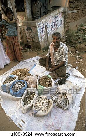 person, selling, india, fish, people View Large Photo Image Picture - person, selling, india, fish, people. Fotosearch