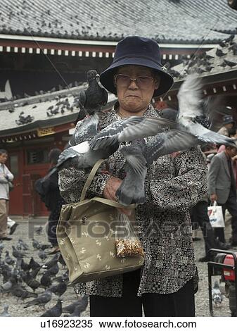 pigeons, people, feeding, japan, person, woman View Large Photo Image Stock Photography - pigeons, people, feeding, japan, person, woman. Fotosearch