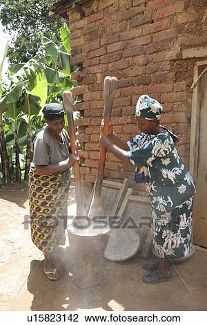pounding, person, females, tanzania, women, people View Large Photo Image Stock Image - pounding, person, females, tanzania, women, people. Fotosearch