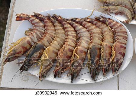 prawns, people, tiger, india, person, beach View Large Photo Image Stock Photograph - prawns, people, tiger, india, person, beach. Fotosearch