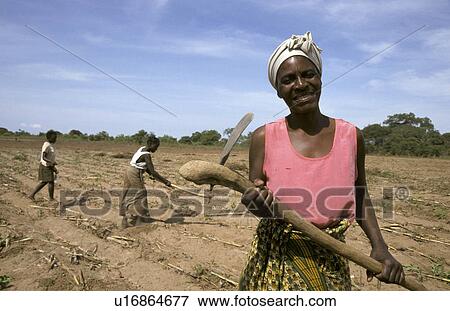 Stock Photo - preparing, person, farmers, zambia, women, people. Fotosearch