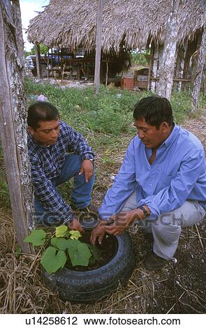 project, person, cobiotec, hispanic, mexico, people View Large Photo Image Stock Image - project, person, cobiotec, hispanic, mexico, people. Fotosearch
